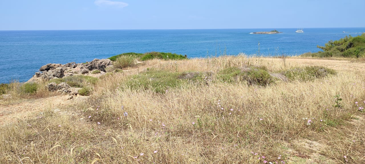 Ausblick Litore Resort & Spa