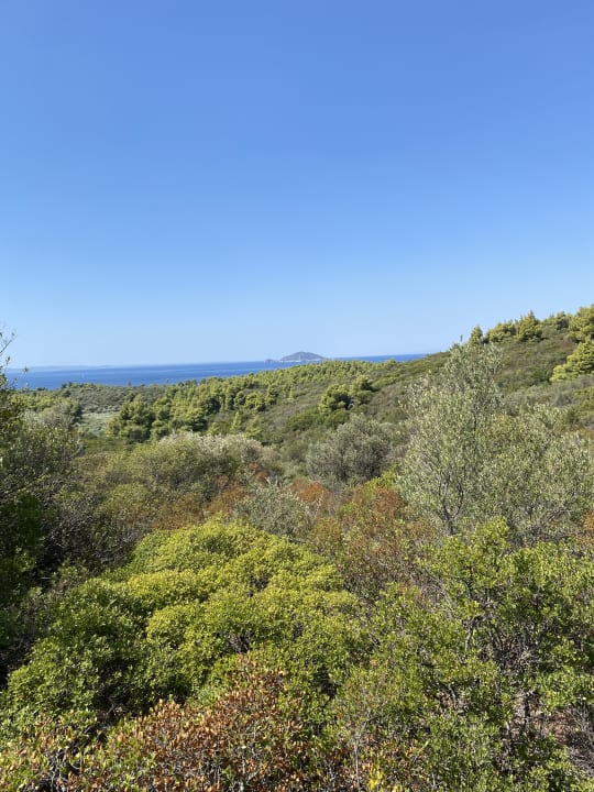 Ausblick Poseidon Hotel Sea Resort