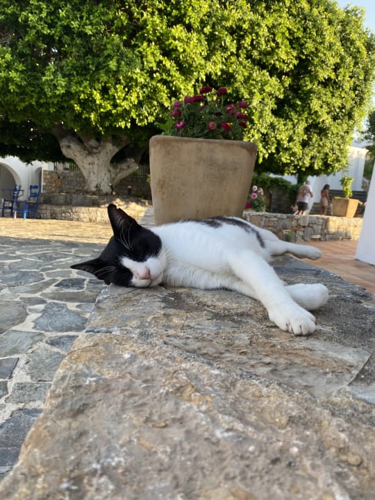 Sonstiges Creta Maris Resort