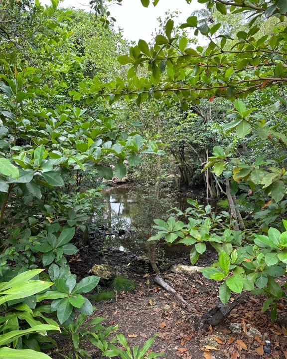 Gartenanlage Dreams La Romana Resort & Spa