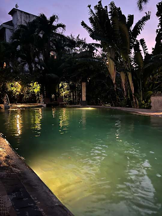 Pool Tonys Villas & Resort, Seminyak - Bali