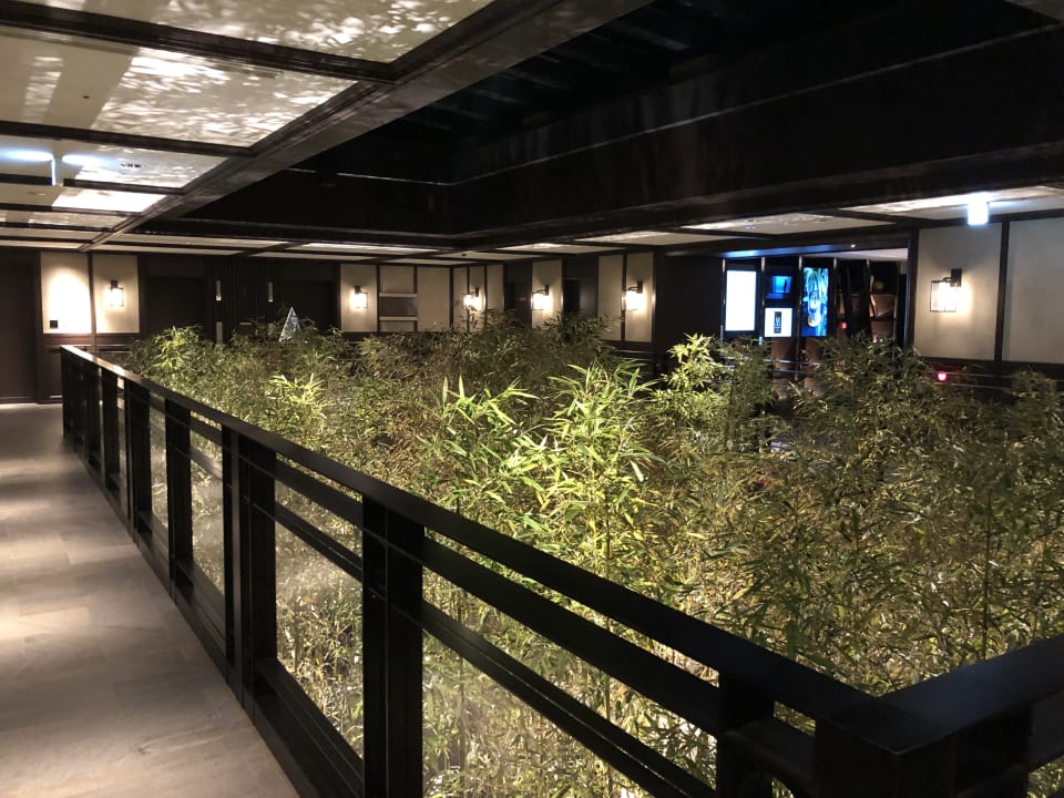 Sonstiges Dhawa Yura Kyoto