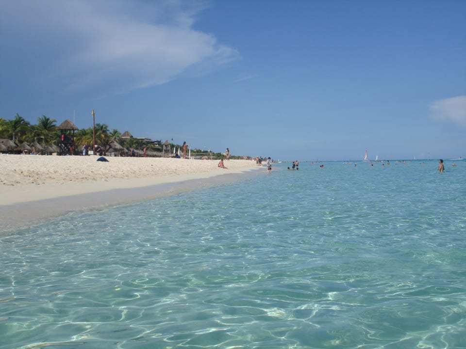 Wunderschönes klares Wasser Sandos Playacar Select Club Adults only - All Inclusive