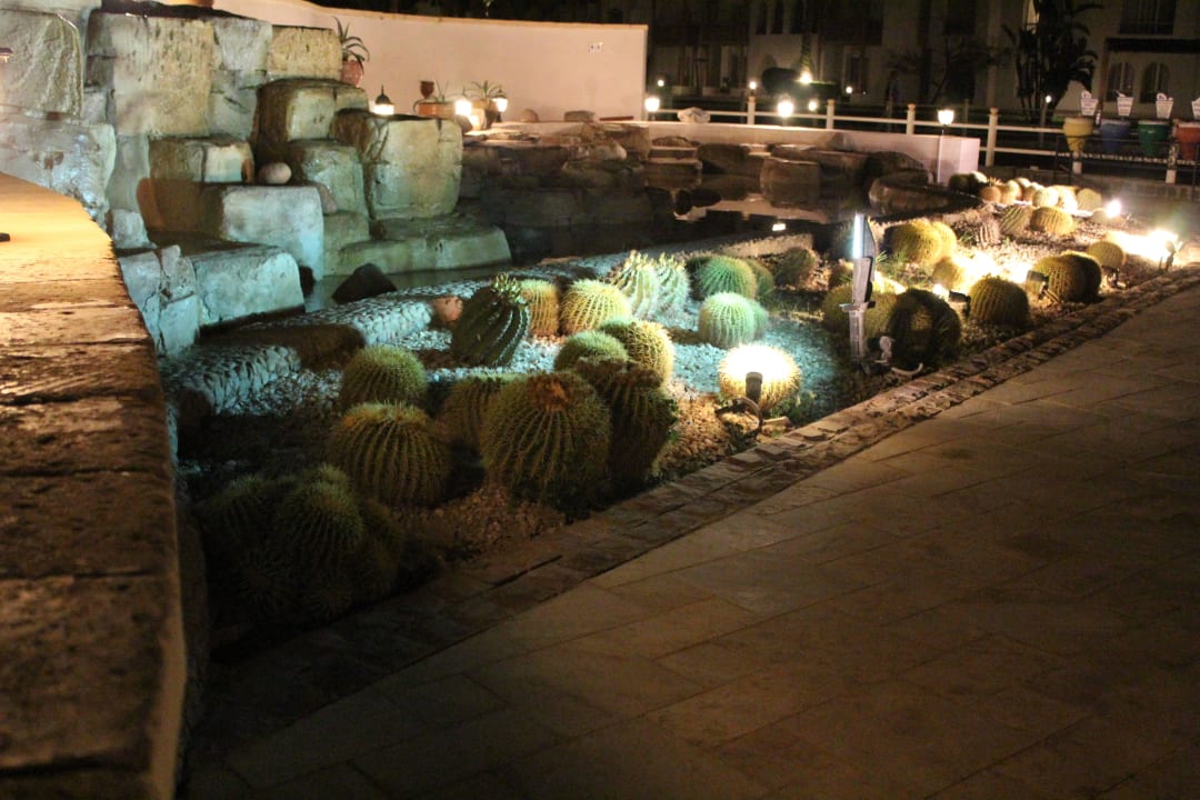 Gartrengestaltung an der Castellobar Pickalbatros Dana Beach Resort - Hurghada