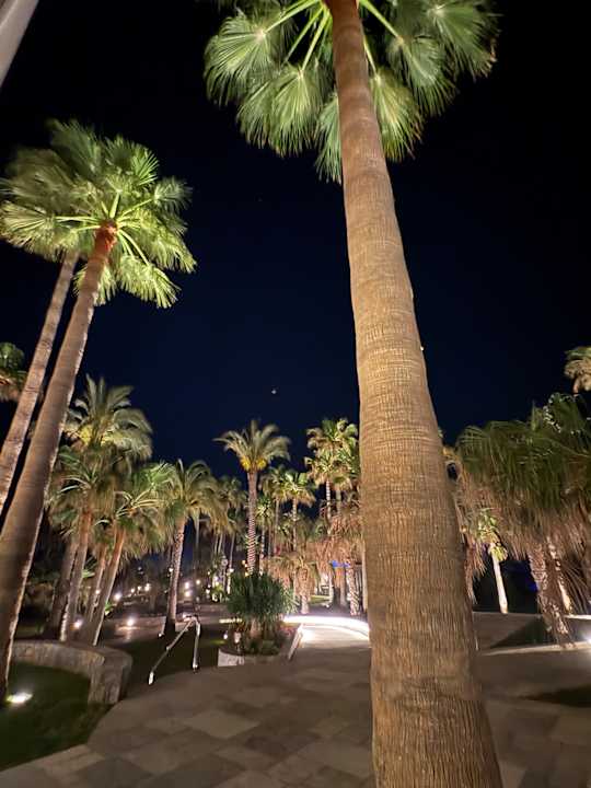 Gartenanlage Calimera Sirens Beach
