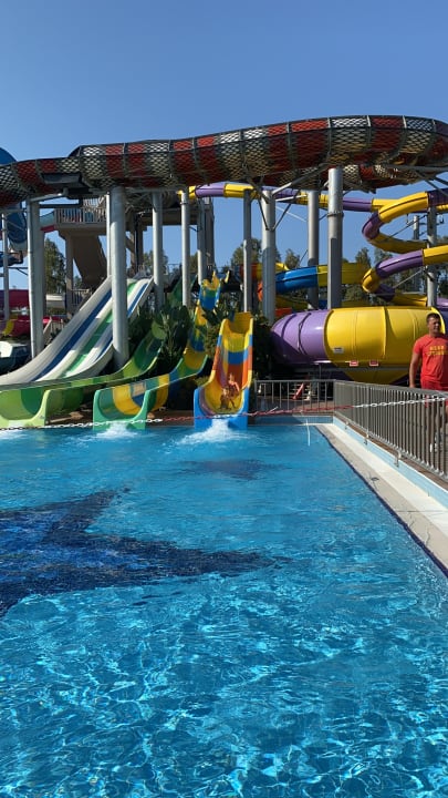 Sport & Freizeit Royal Seginus