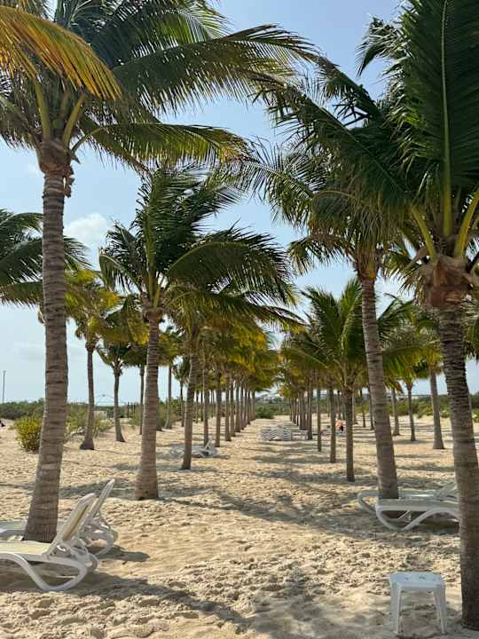 Strand Hotel Riu Latino - Adults Only