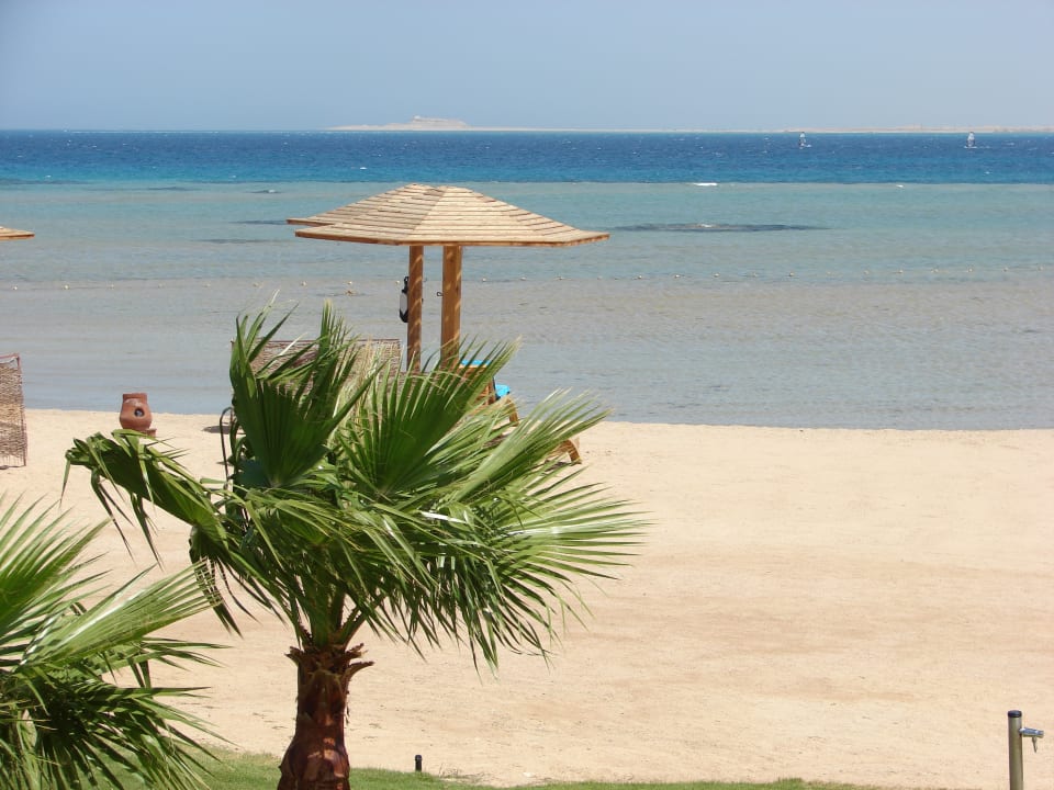 Strand Shams Prestige Abu Soma-Adults Only