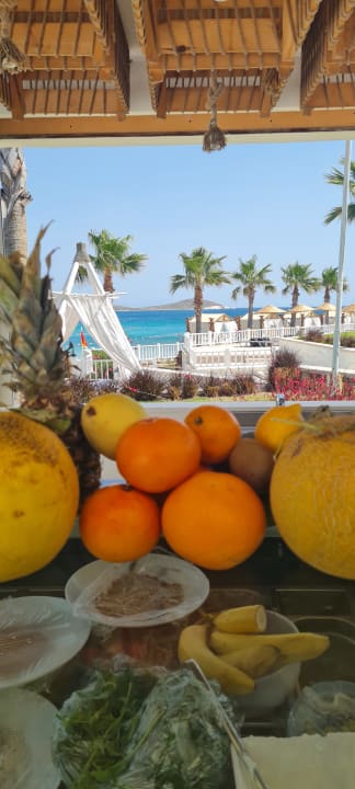 Gastro Design Plus Seya Beach Hotel