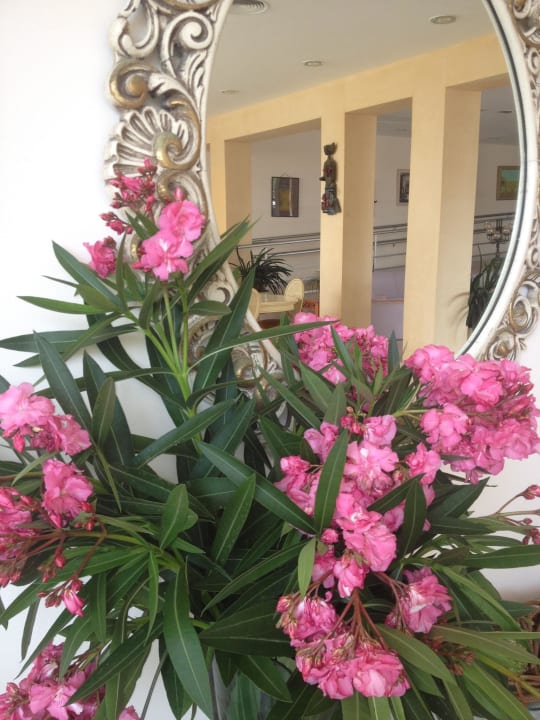 Blumen Hotel Na Forana