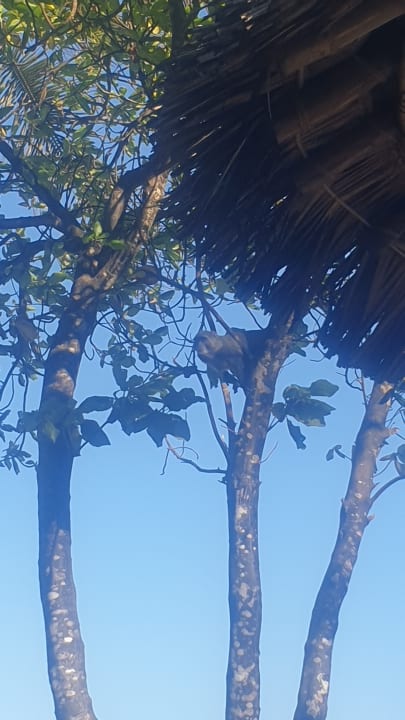 Sonstiges Neptune Village Beach Resort & Spa