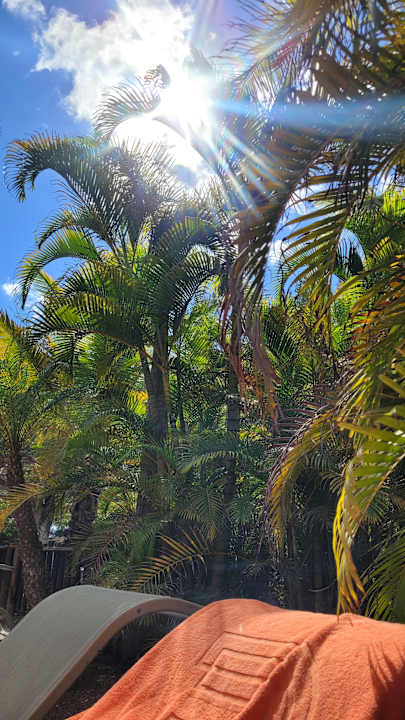 Pool Lopesan Baobab Resort