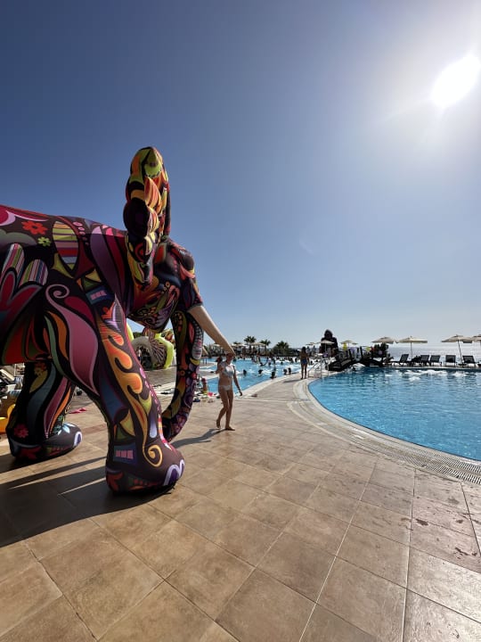 Pool Litore Resort & Spa