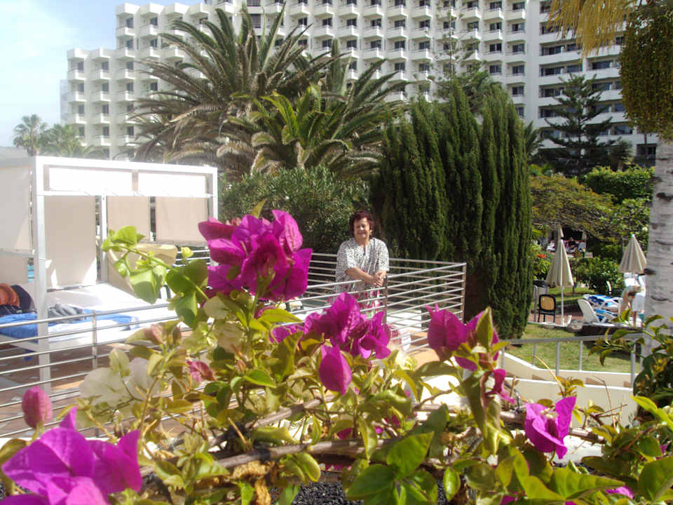 HERRLICHE Ruhezonen H10 Las Palmeras