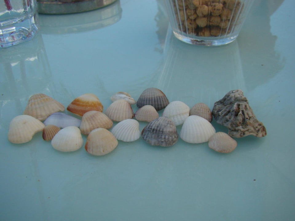 Produkty moře Papillon Ayscha