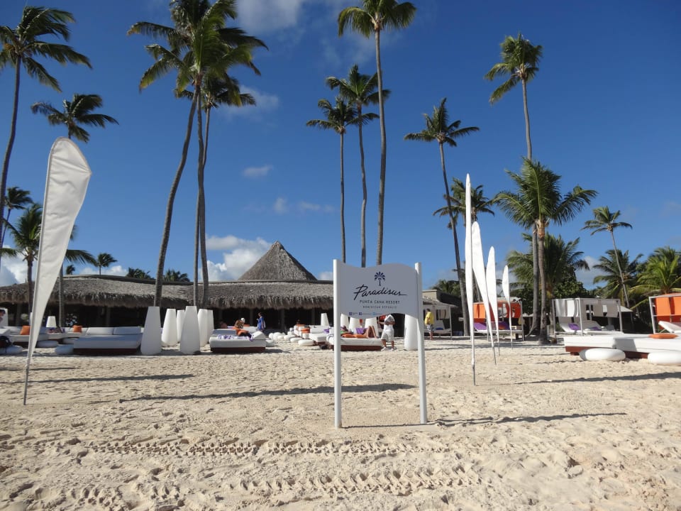 Sehr bequeme Liegeflächen Paradisus Punta Cana Resort (Im Umbau/Renovierung)