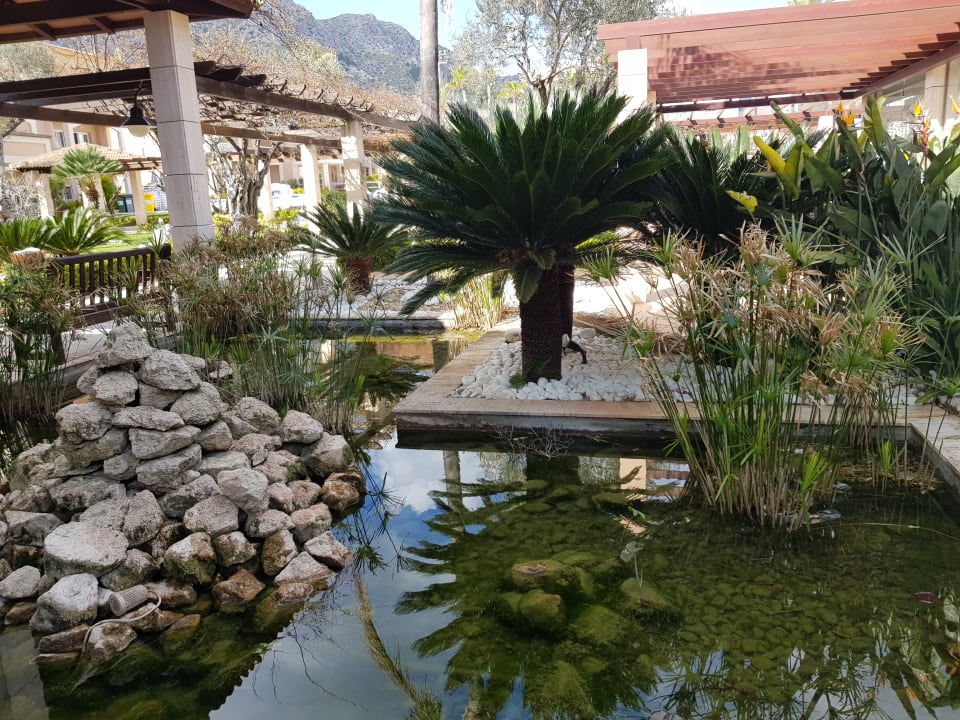 Garten Mar Hotels Playa Mar & Spa