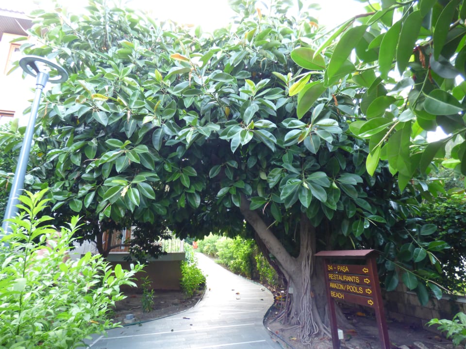 Gartenanlage Club Grand Side