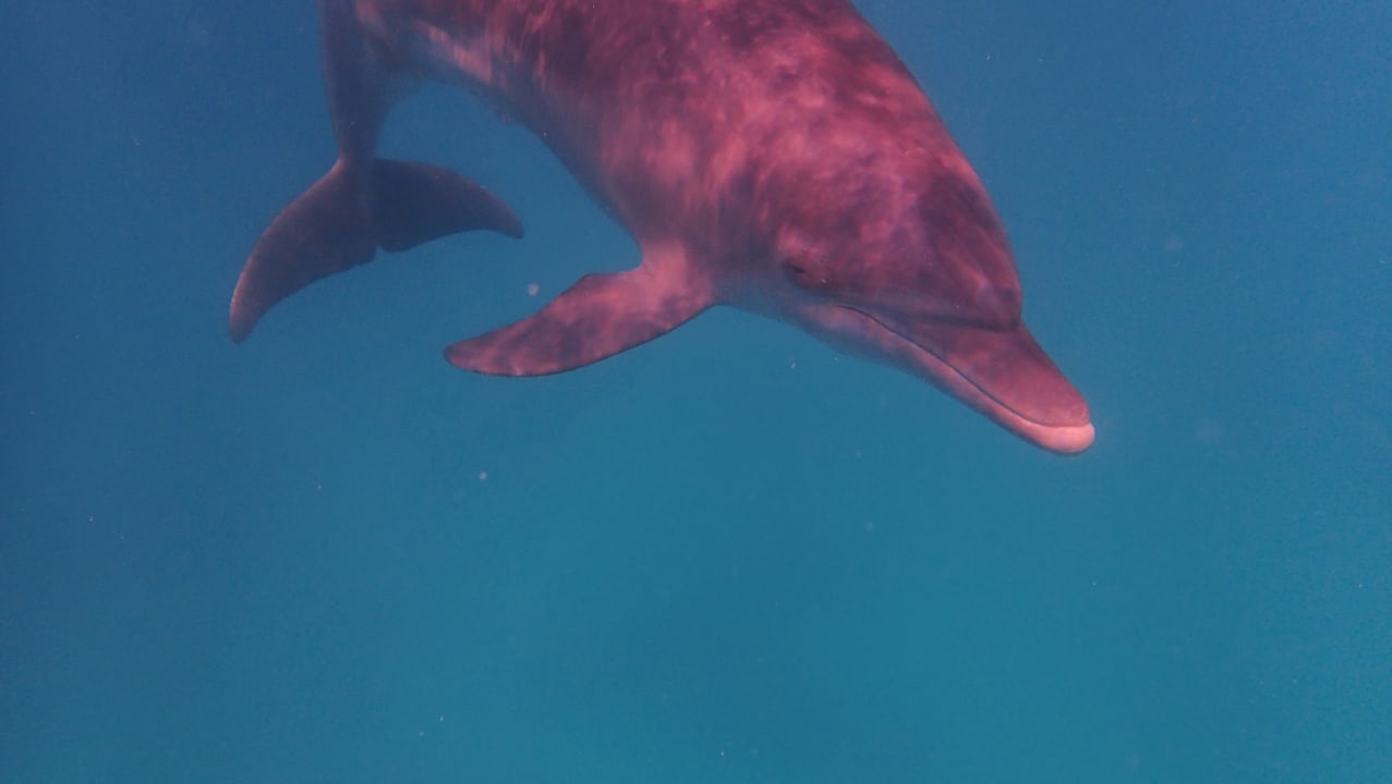 Strand Stella Beach Resort & Spa Makadi Bay