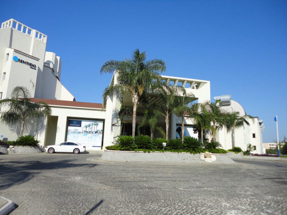 Sentido PALOMA Perissia