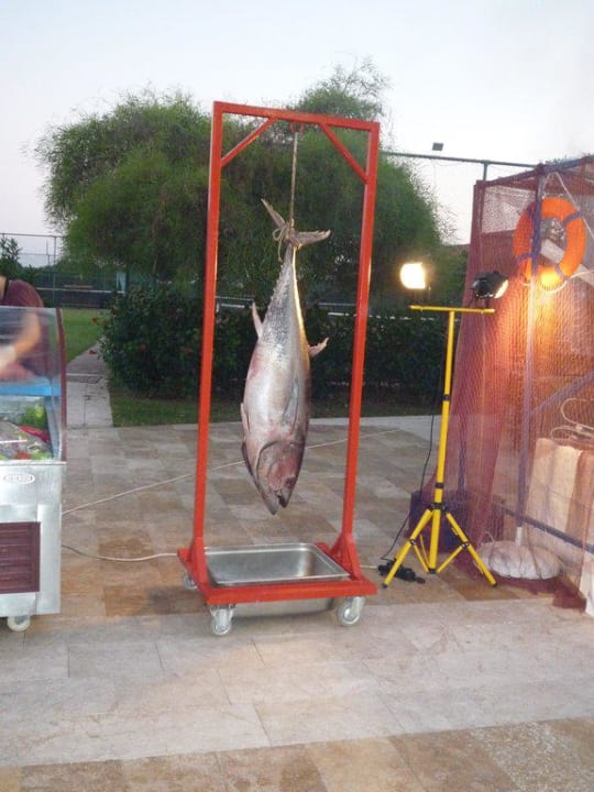 Thunfisch am Fischabend Sirene Belek Hotel