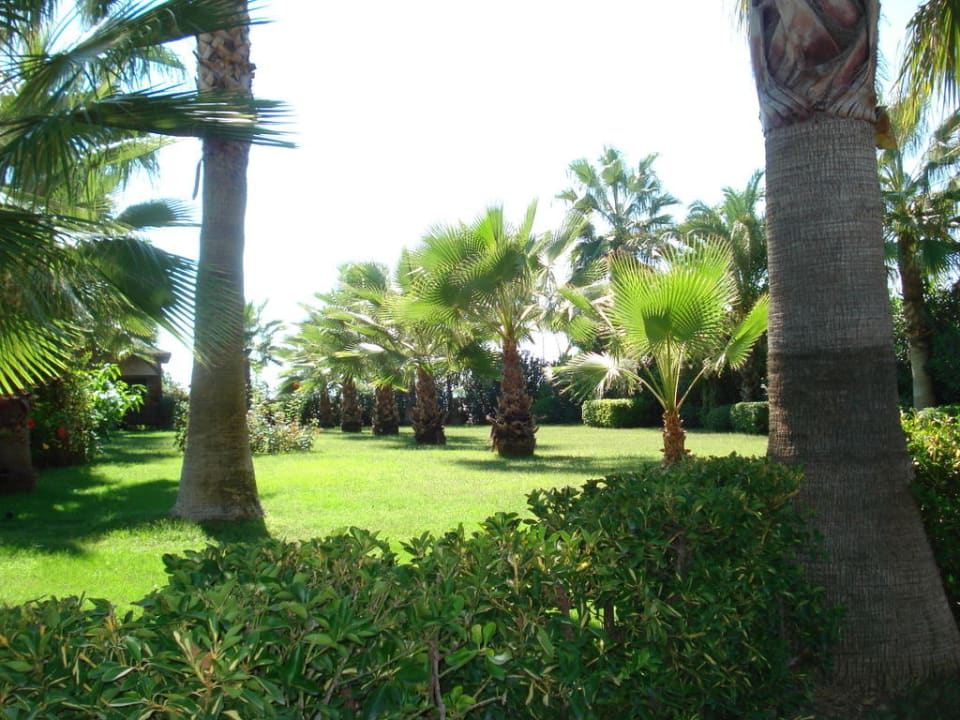 Территория отеля Holiday Park Resort