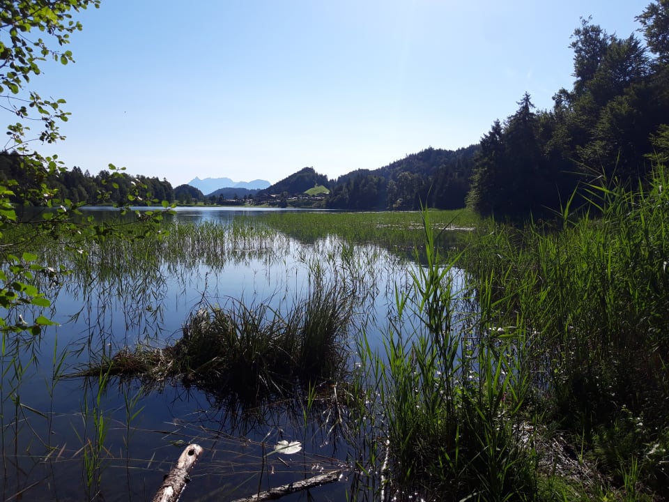 Ausblick Camping Seeblick Toni