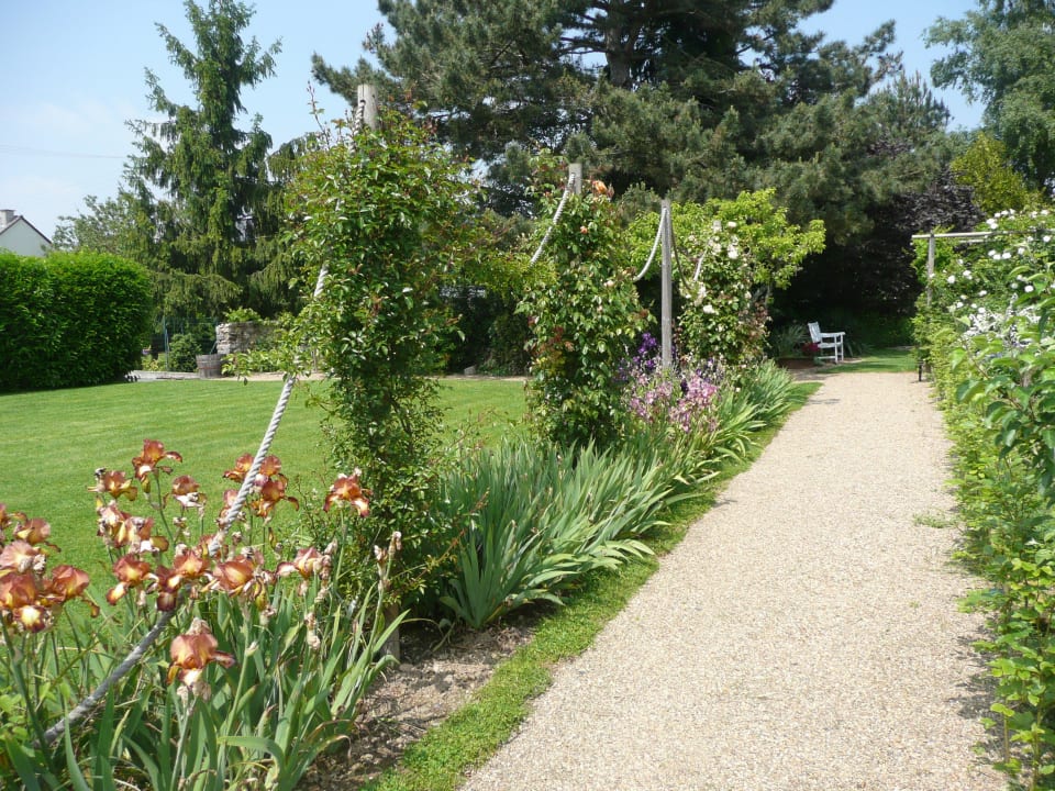 Roses in our beautiful garden B&B Manoir de la Pigeonnerie