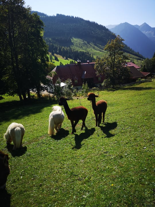 Gartenanlage Oberjoch - Familux Resort