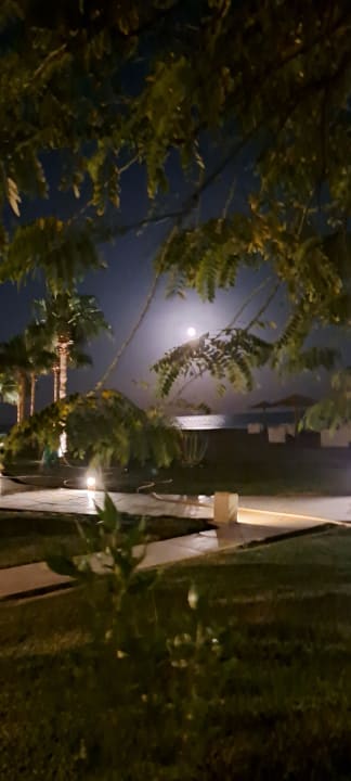 Ausblick Shams Prestige Abu Soma-Adults Only