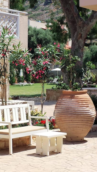 Gartenanlage Cactus Royal