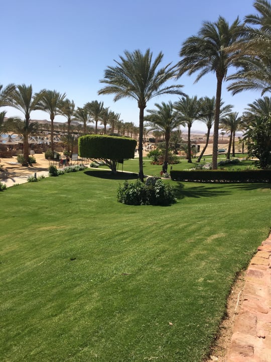 Gartenanlage Steigenberger Coraya Beach - Adults only