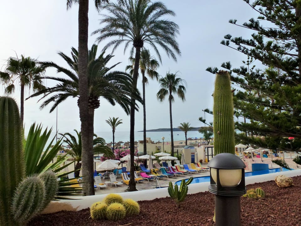 Blick von der Terrasse auf Pool & Meer CM Playa del Moro