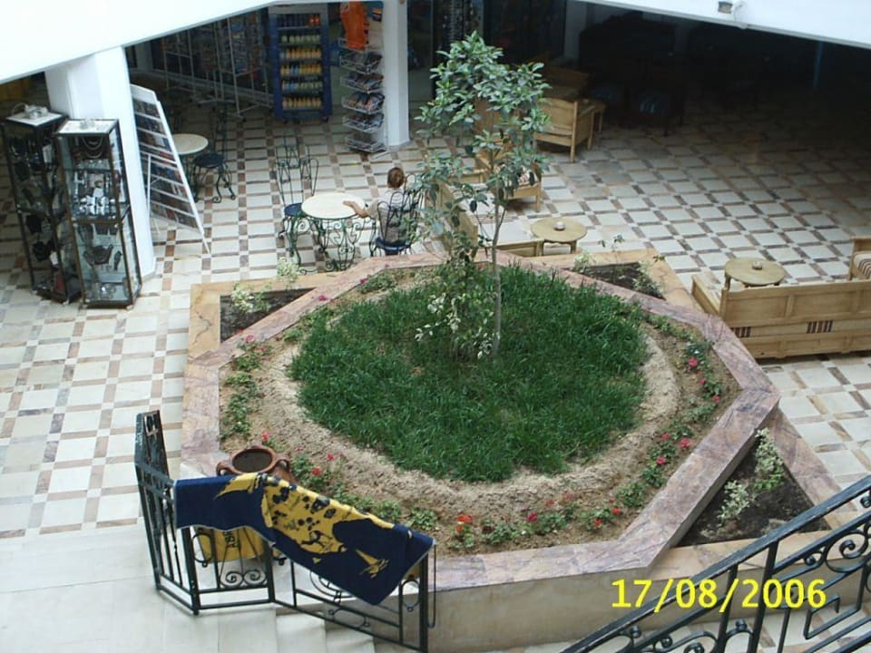 Rezeption  Djerba Sun Beach Hotel & Spa