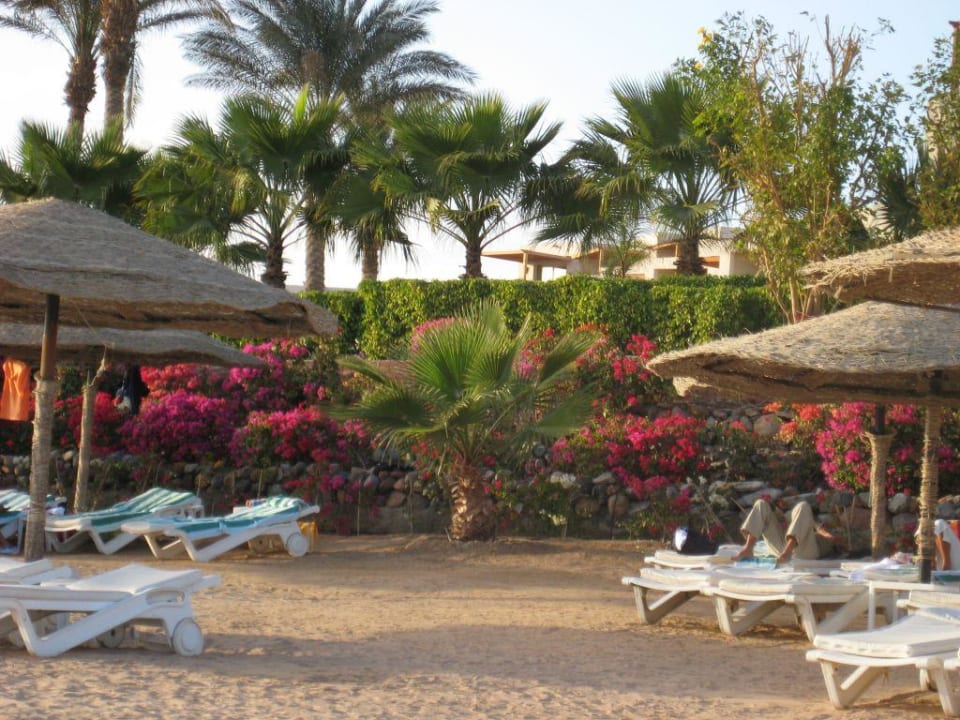 So schön kann Strand sein Fort Arabesque Resort, Spa & Villas