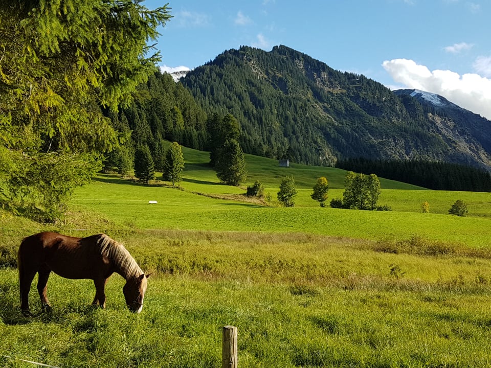 Gartenanlage Jungbrunn - Der Gutzeitort