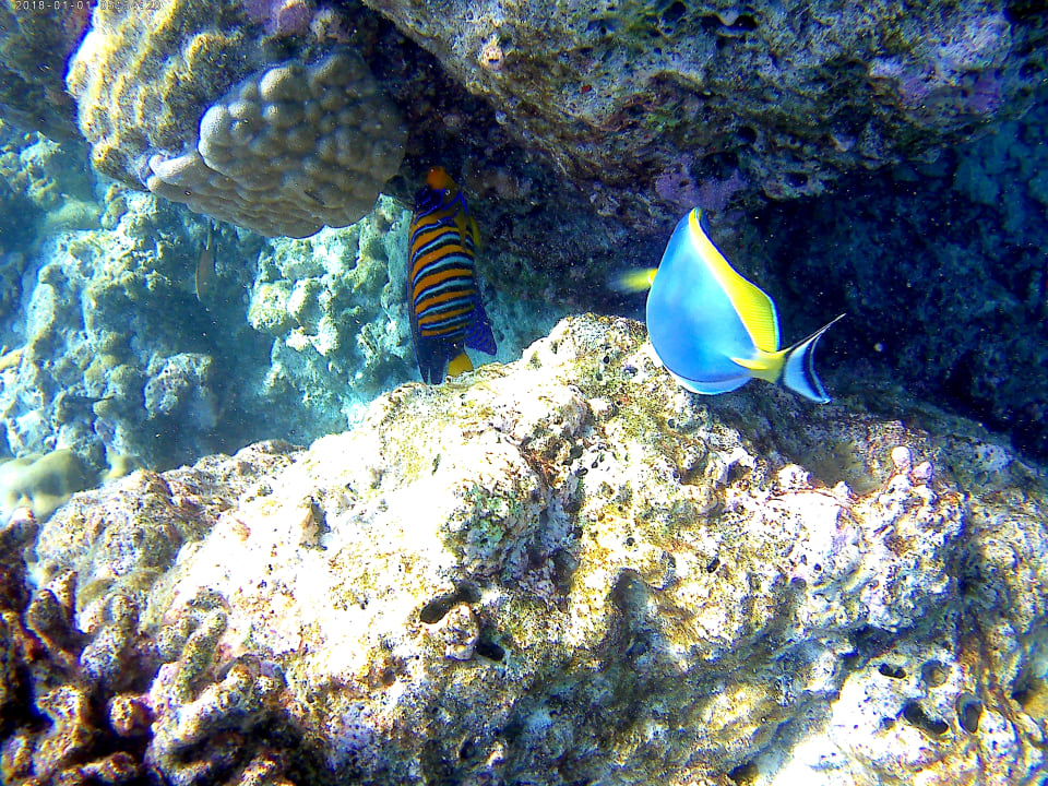 Sport & Freizeit Eri Maldives