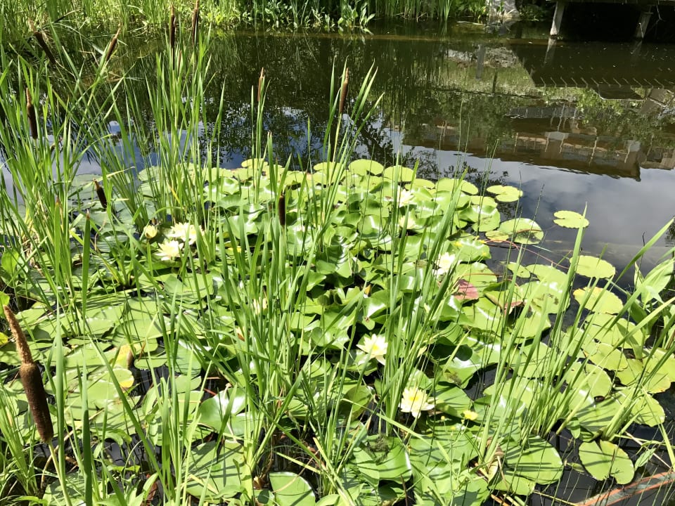 Gartenanlage RETTER Bio-Natur-Resort