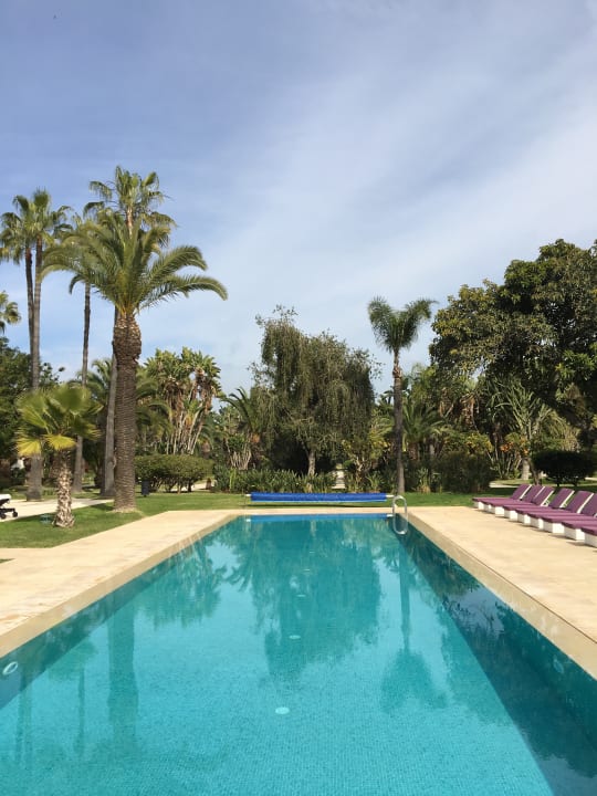 Pool Hotel Sofitel Rabat Jardin Des Roses