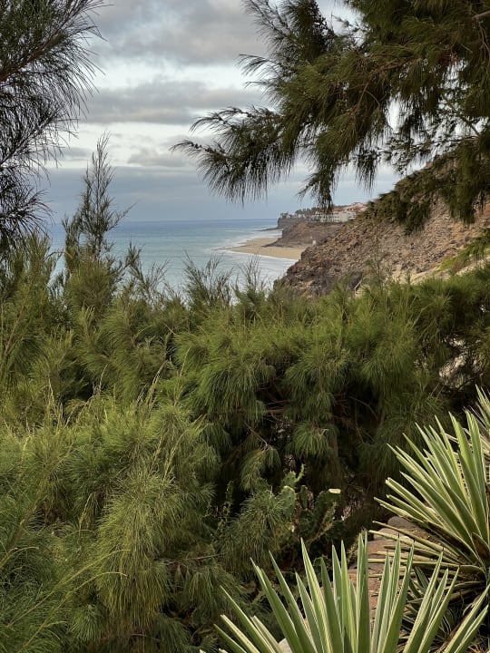 Gartenanlage Marina Playa Suite Hotel