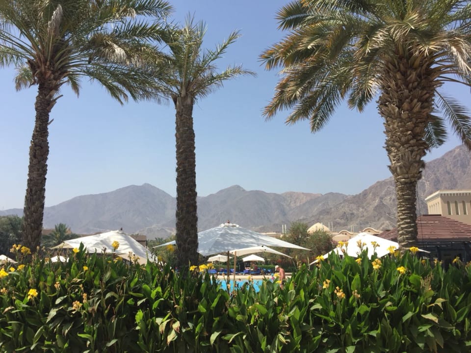 Ausblick Miramar Al Aqah Beach Resort