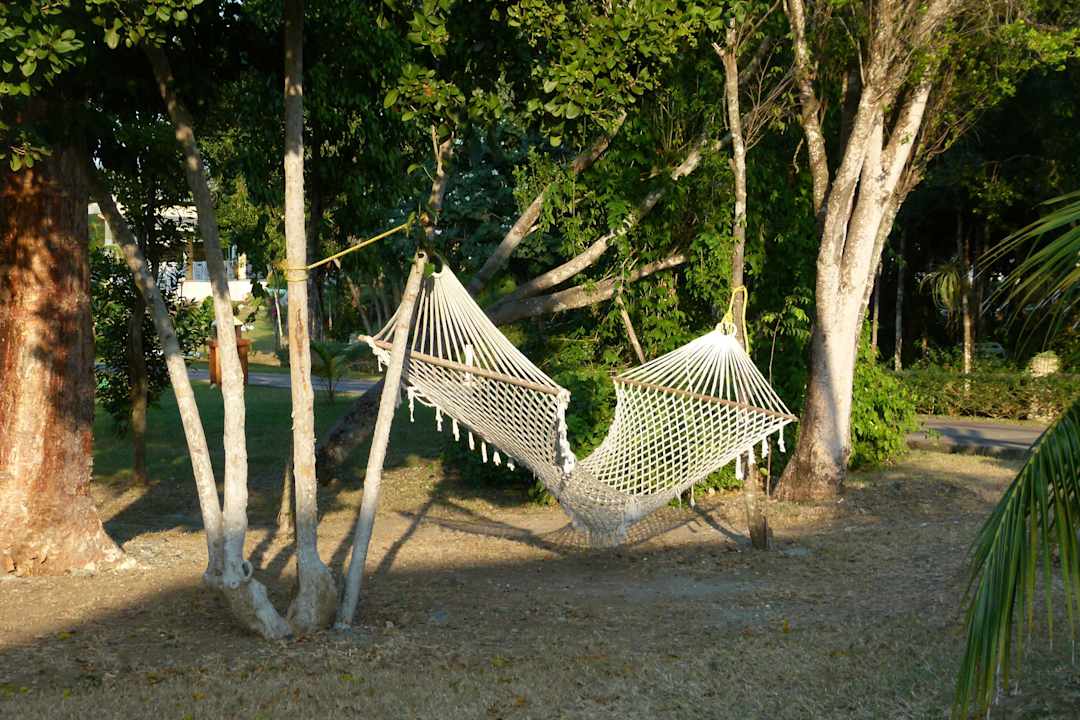 Im Garten gibt es viel zu entdecken Hotel Playa Pesquero