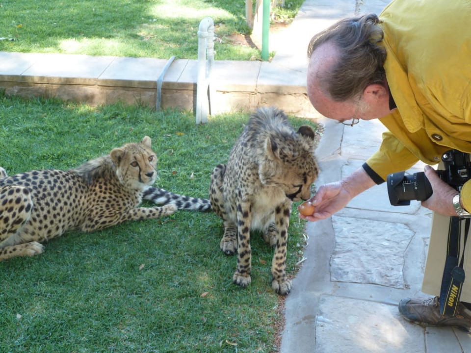 Kontaktaufnahme Hotel Burgsdorf Gästefarm & Safari Farm