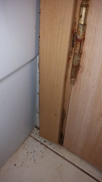 Überall sah es so aus Paradise Beach Hotel