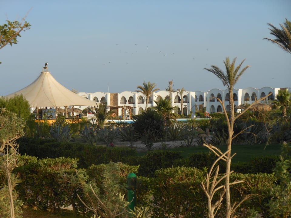 Blick Richtung Poolbar und Zimmer Hotel Gorgonia Beach Resort