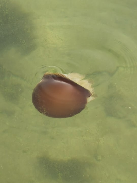 Sonstiges Wyndham Garden Salalah Mirbat