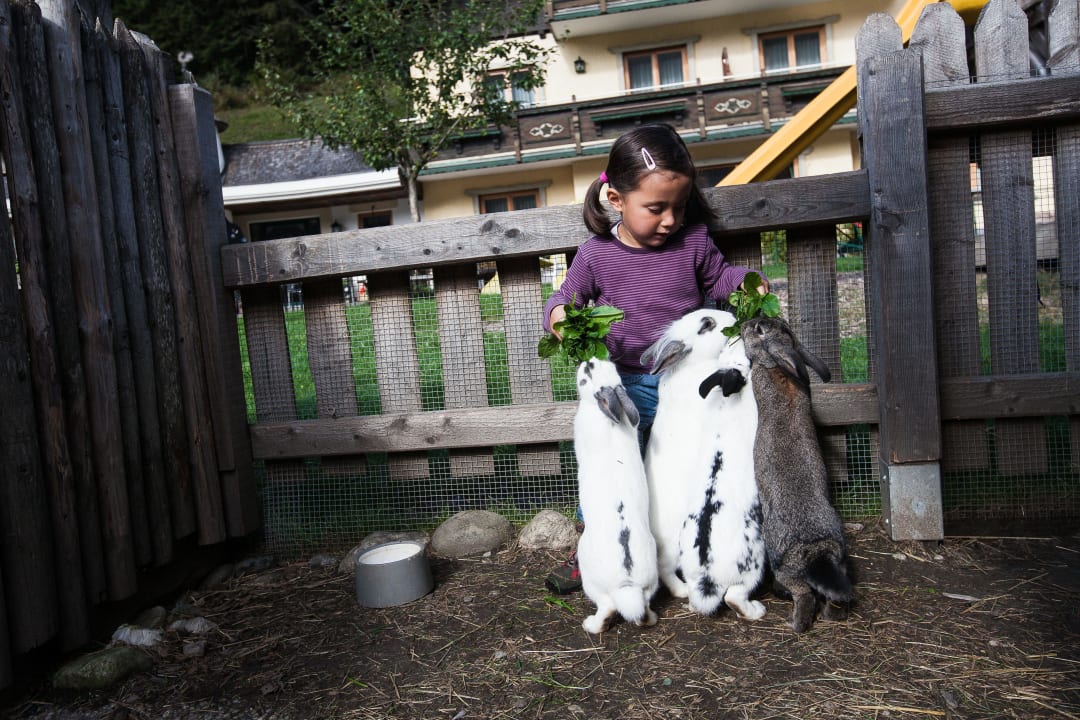Kaninchenstall Feriendorf Holzleb'n