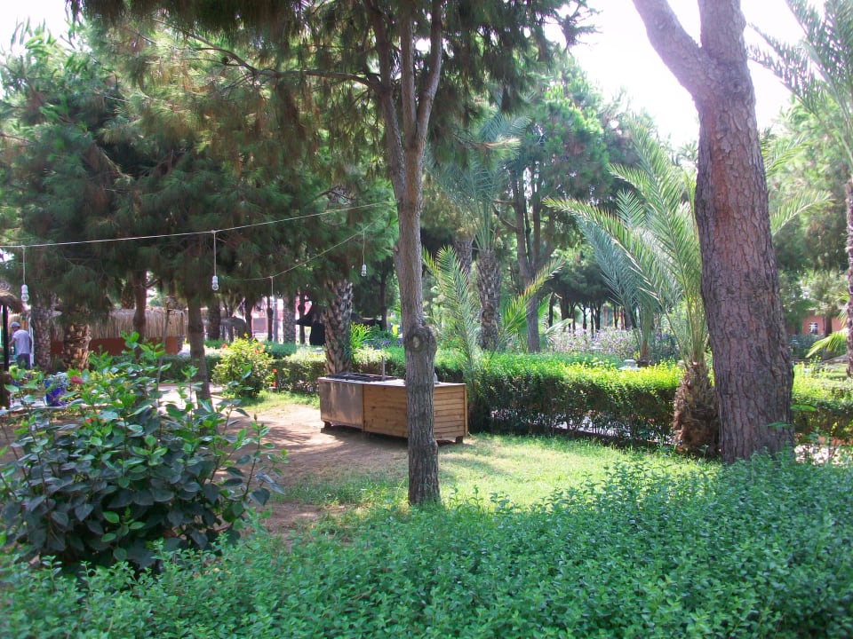 Gastro Club Turtas Beach Hotel