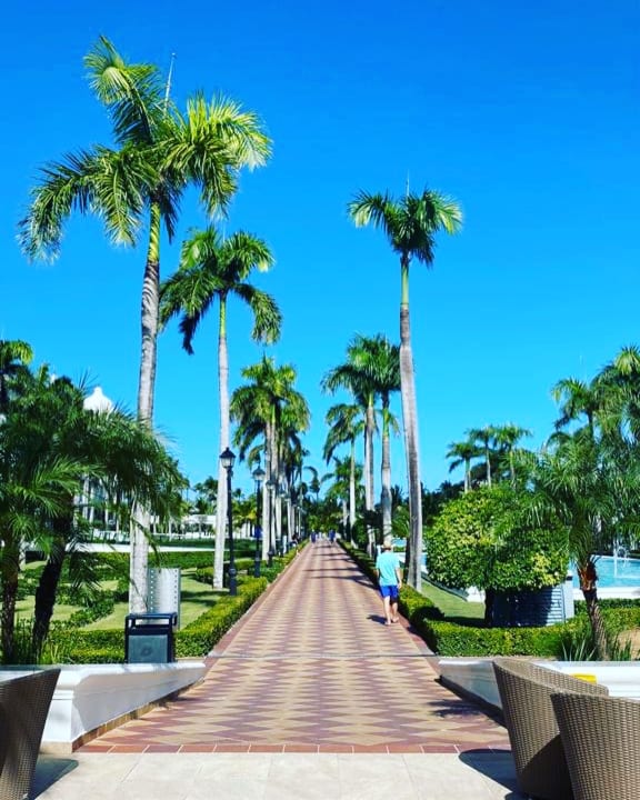 Gartenanlage Hotel Riu Palace Punta Cana