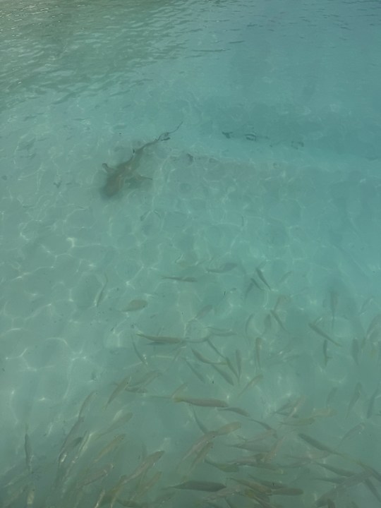 Strand Kuramathi Maldives